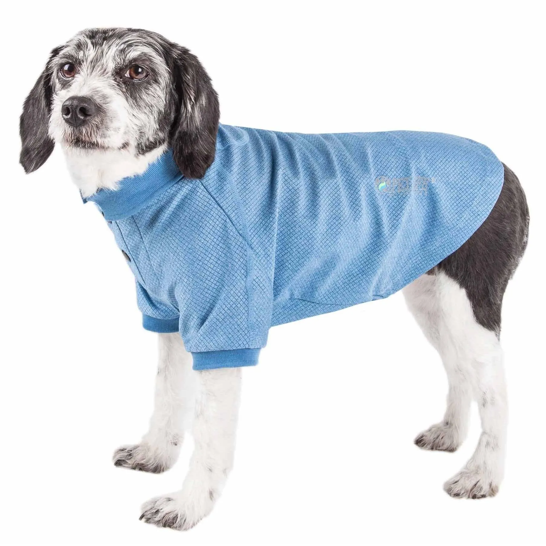 Dog polo t-shirt Fashion