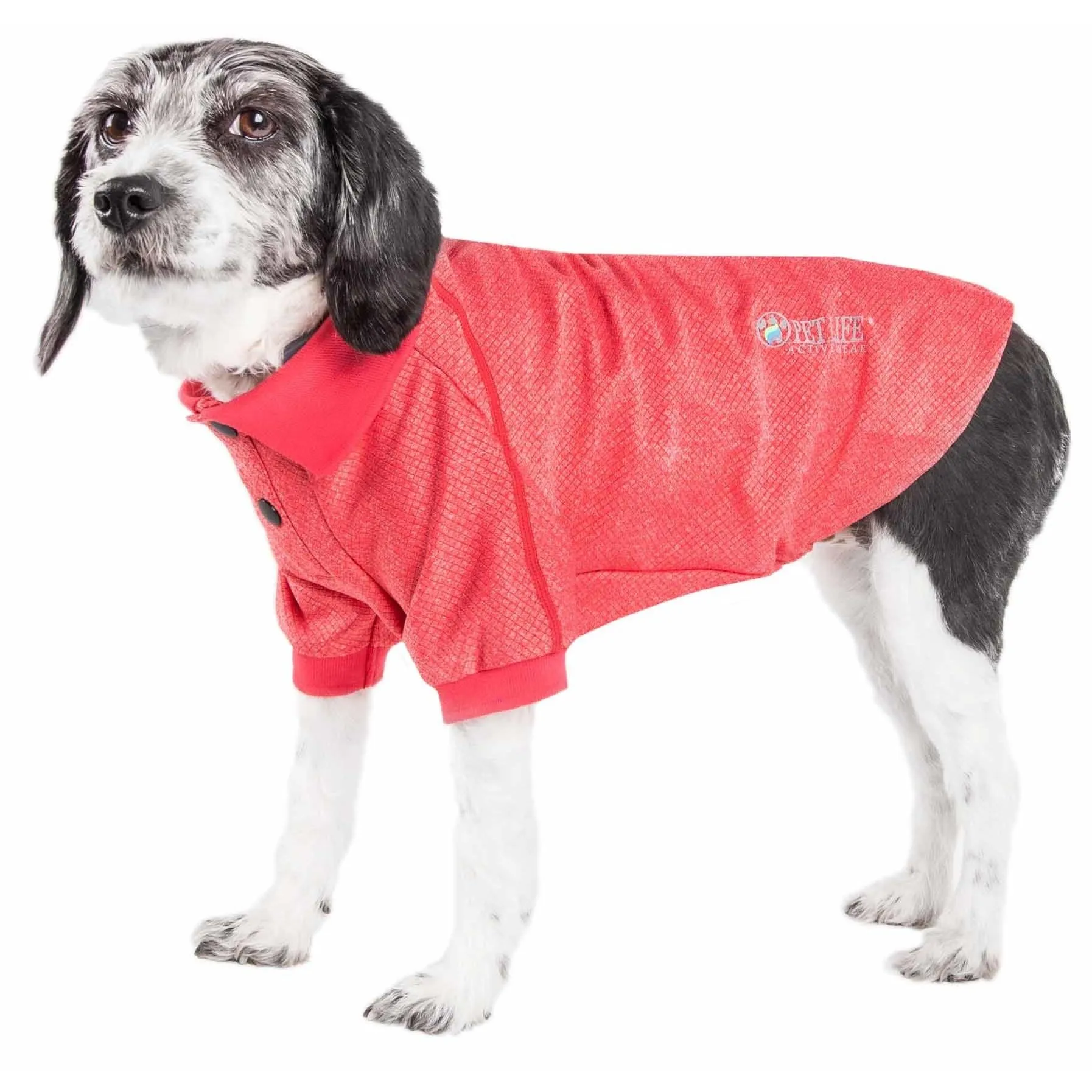 Dog polo t-shirt Fashion