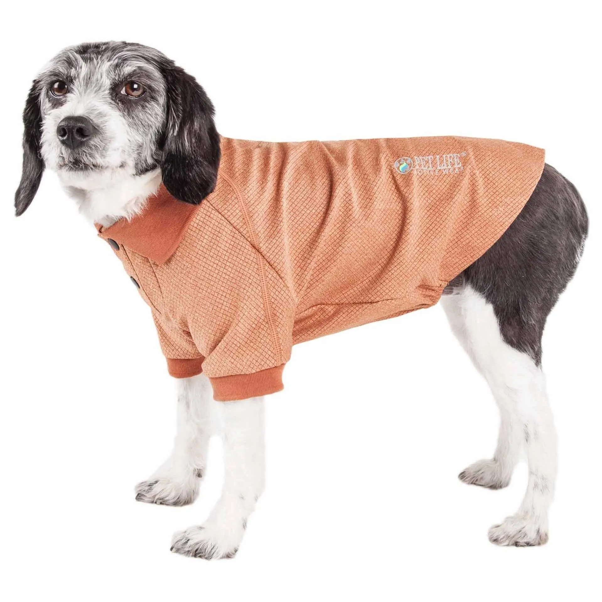 Dog polo t-shirt Fashion