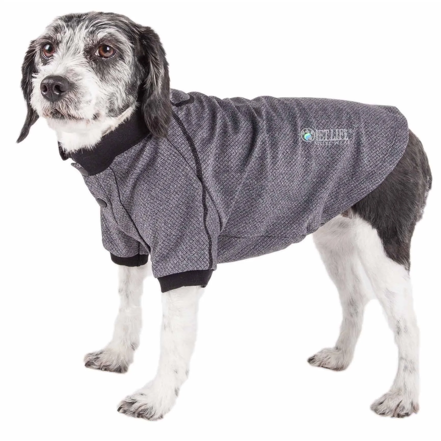 Dog polo t-shirt Fashion