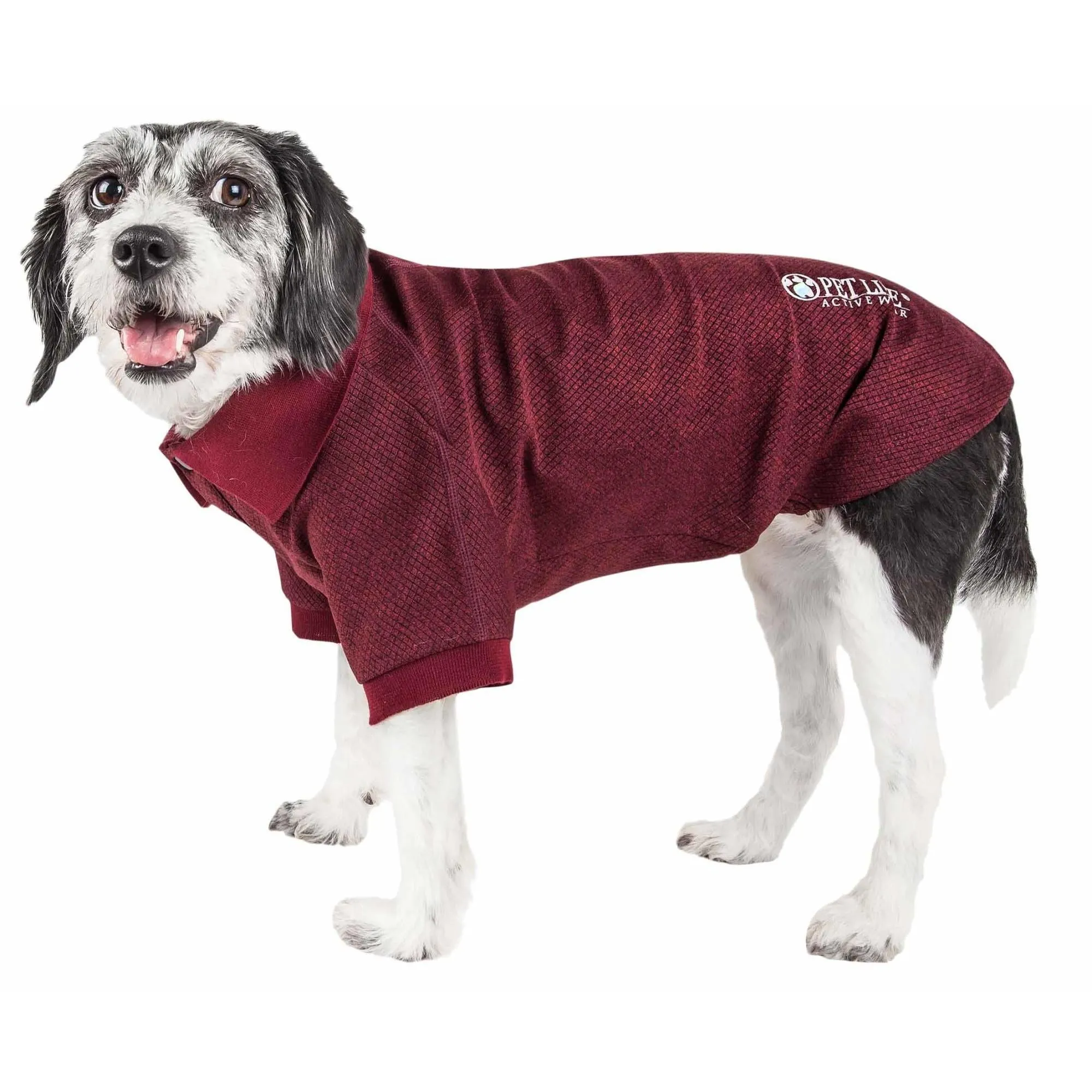 Dog polo t-shirt Fashion
