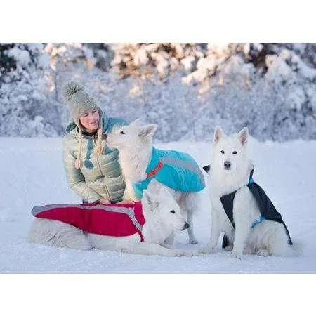 RC Dog Vortex Parka Black & Blue