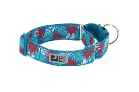 RC Pets All Webbing Training Collar SALE
