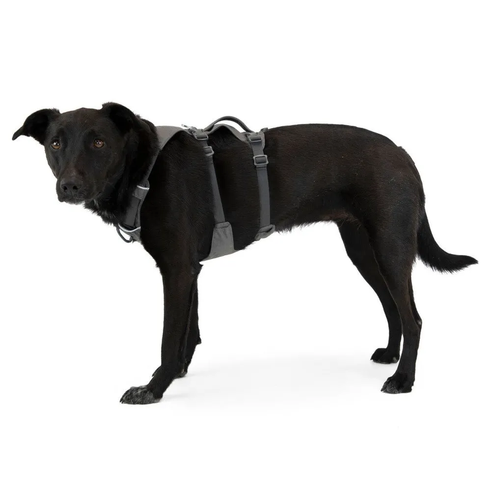 Ruffwear Flagline Lightweight No-Pull Handled Dog Harness (Granite Gray)