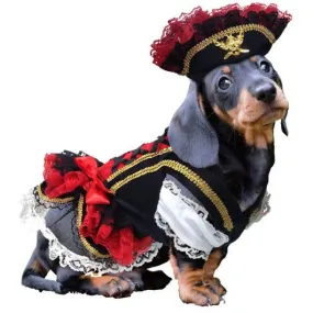 SWASHBUCKLER PIRATE DOG COSTUME